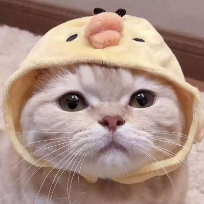 ZhejiangSpank's profile picture