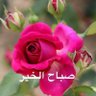 ابوخالد's profile picture