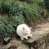 升 高 的头像