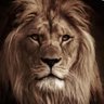 Fire profil fotoğrafı