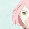 Saku.'s profile picture