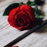 أخت الرِّجال🌹 的头像