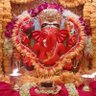 Фото профиля Sukhbir singh