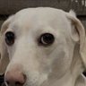 Profilbild von bruh