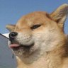罗耶鹅 的头像