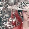 Jason Fan's profile picture