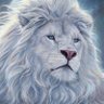 Profilbild von princeosazee