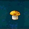 kapo's profile picture