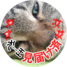 Фото профиля にしめ@女王蜂🐝SUPERBEAVER🦫
