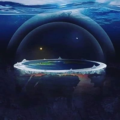 Stéphane's profile picture