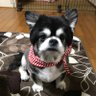 Фото профиля おいぼさん