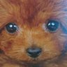 南区の、のりP 的头像