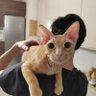Igor Strebz profil fotoğrafı