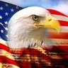 Nancy Patriot 💙 Free Speech! profil fotoğrafı