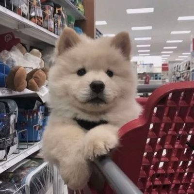 erzhu15619517's profile picture