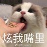 一个强子 profil fotoğrafı