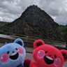 犬居P's profile picture
