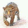 🇴🇲غريب ديّار🇴🇲 profil fotoğrafı