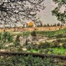 عبدالله العمري profil fotoğrafı