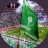 Profilbild von اهلاوي💚💚