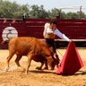 🇪🇸🐂Andaluz 🐂🇪🇸's profile picture