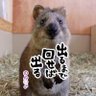 のん♂🚹 的头像