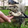 Фото профиля Le petit écureil