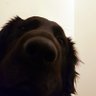Profilbild von El Poundo