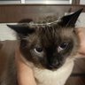 アメちゃん's profile picture