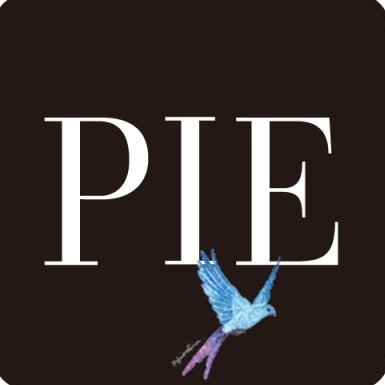 パイ インターナショナル's profile picture