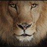Profilbild von LewtheLion