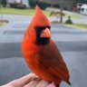 NitaB's profile picture