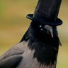 🗿🎩The Eldritch Crow🦏's profile picture