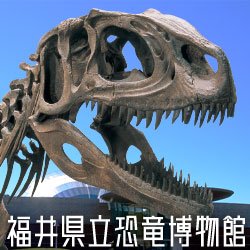 福井県立恐竜博物館's profile picture