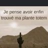 Фото профиля Alain Hamon