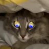 Светлана Мальцева's profile picture
