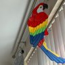 Mel A Re May Ner profil fotoğrafı