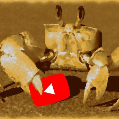Crabe Fantôme 🧬's profile picture