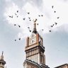 Фото профиля بنت مكة