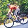 gustavo gaviria 的头像