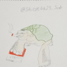 山亀's profile picture