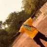 Profilbild von Amsterdam_99🇬🇭
