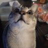 Imuz profil fotoğrafı