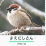 まえだし's profile picture