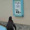 がぶ・がぶらってぃ profil fotoğrafı