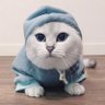 Profilbild von dhywbt