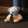 Profilbild von Mr.Bear