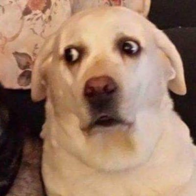 Nicha90scute's profile picture