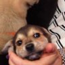 Profilbild von Jane
