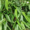 Фото профиля heshiping